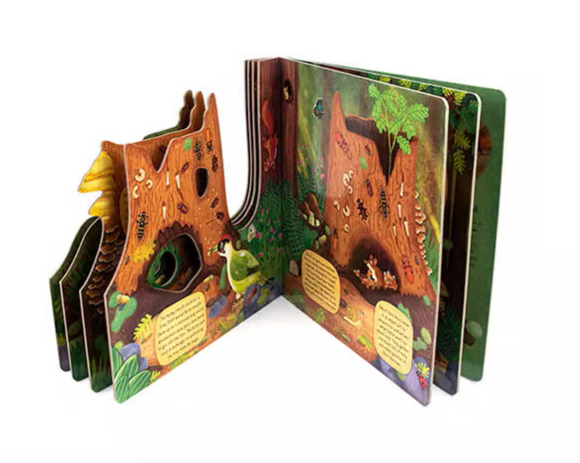 Woodland World Board Book