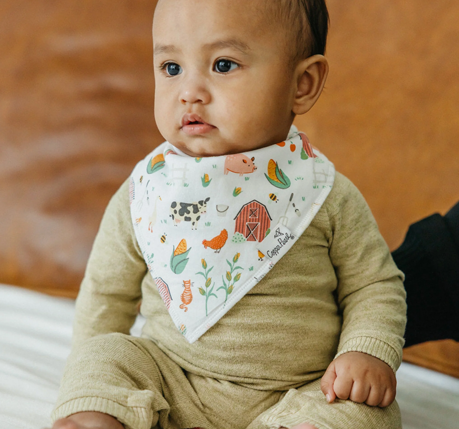 Farmstead Baby Bandana Bib Set 4pk