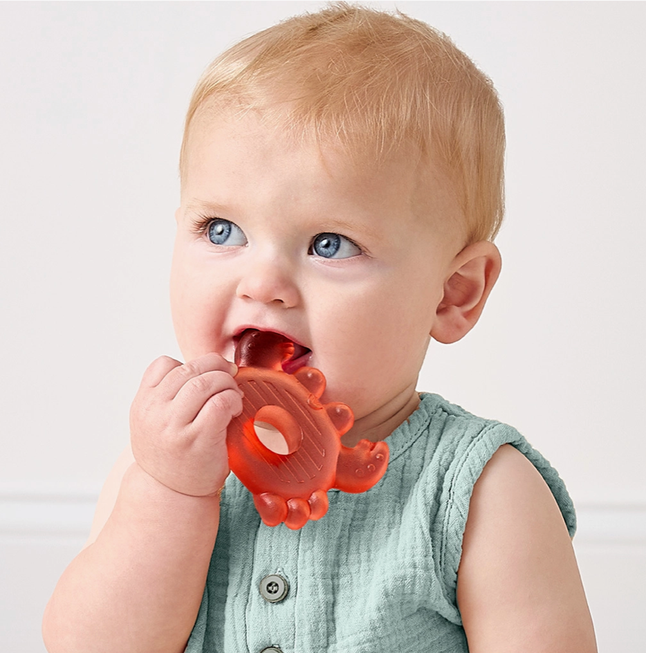 Nautical Water-Filled Teethers