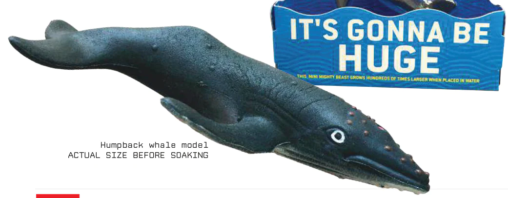 Swell Polymer Humpback Whale