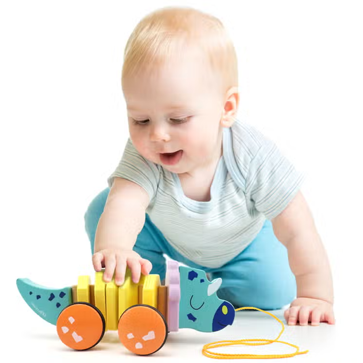 Wood Triceratops Pull Along Toy