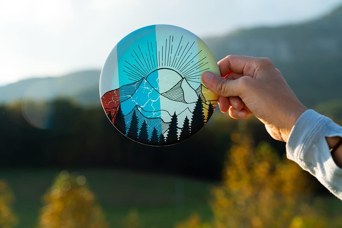 Wingman Frisbee Disc