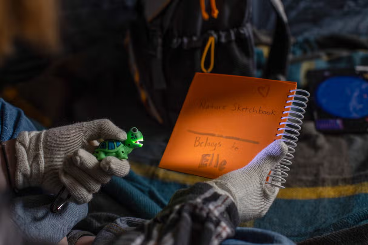 WildLight Turtle - Green