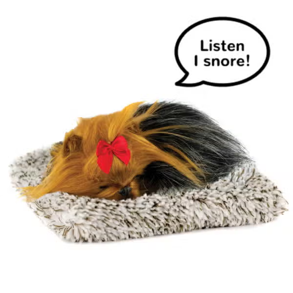 Mini Perfect Pet