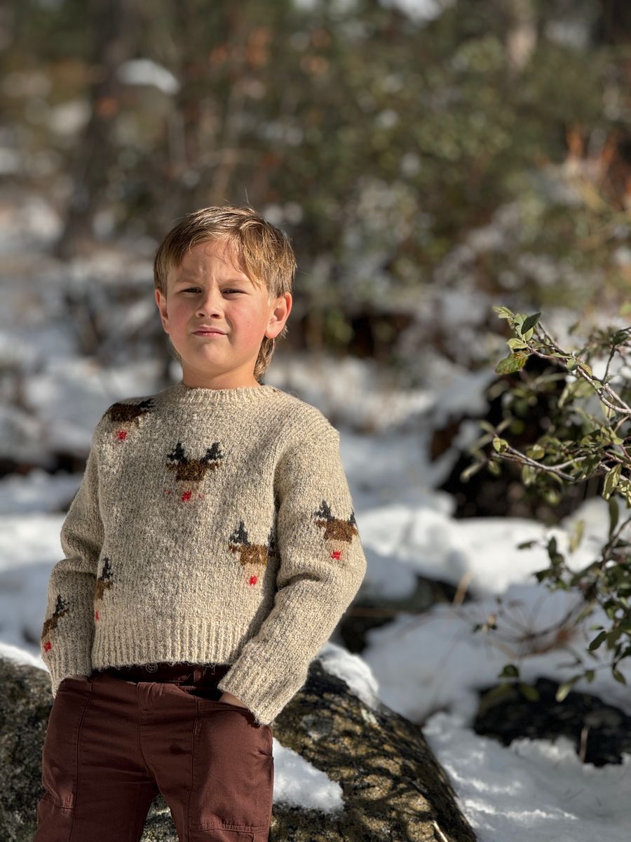 Kids Rudy Reindeer Sweater