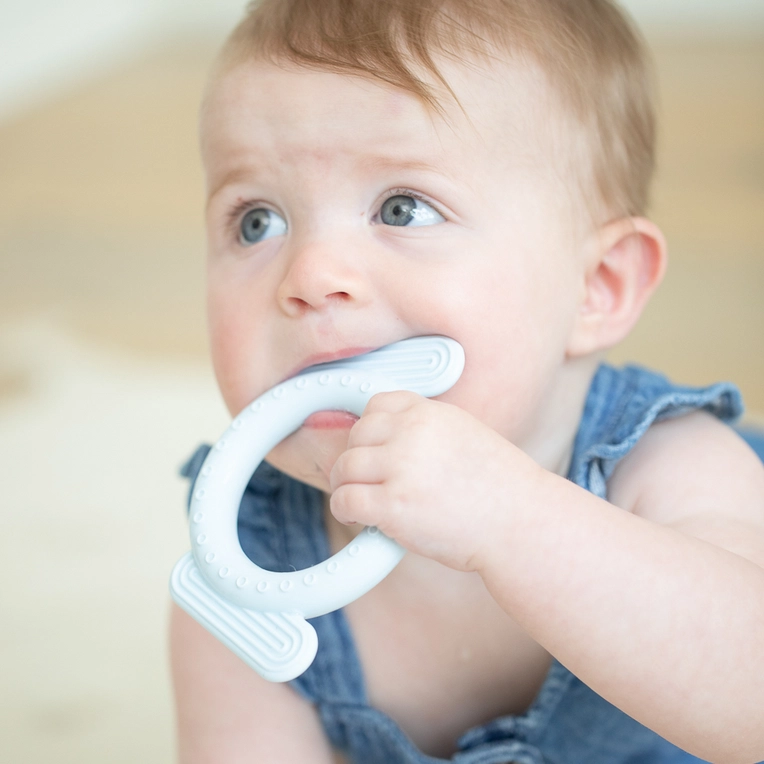 Dog Rattle Teether