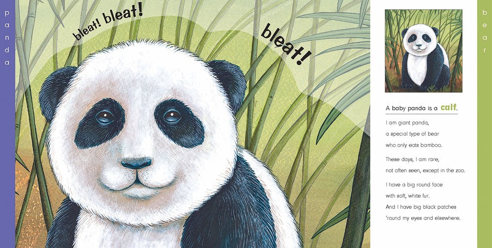Hello Baby Animals Board Book