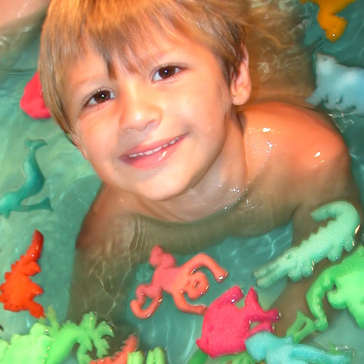 Bath Beans - Journey