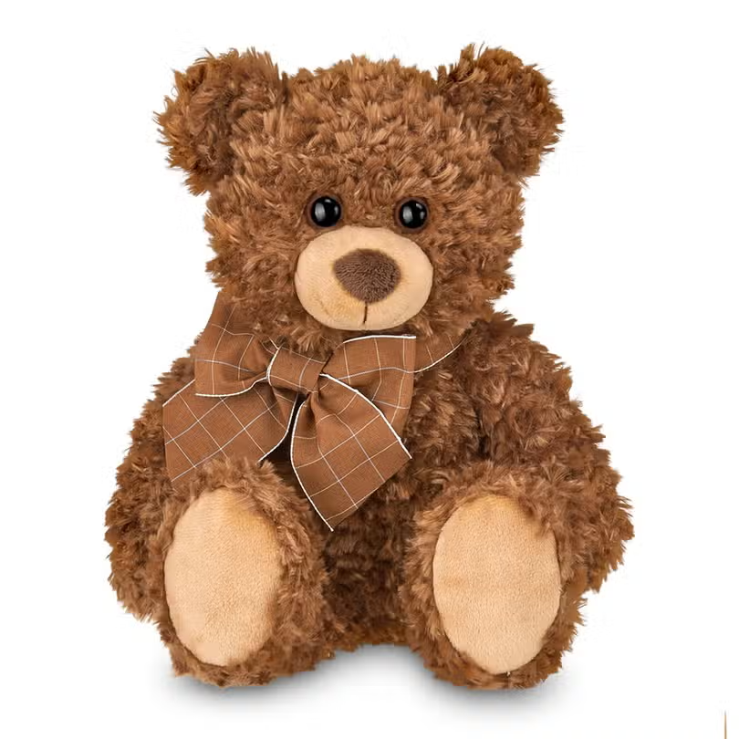 Reggie the Teddy Bear