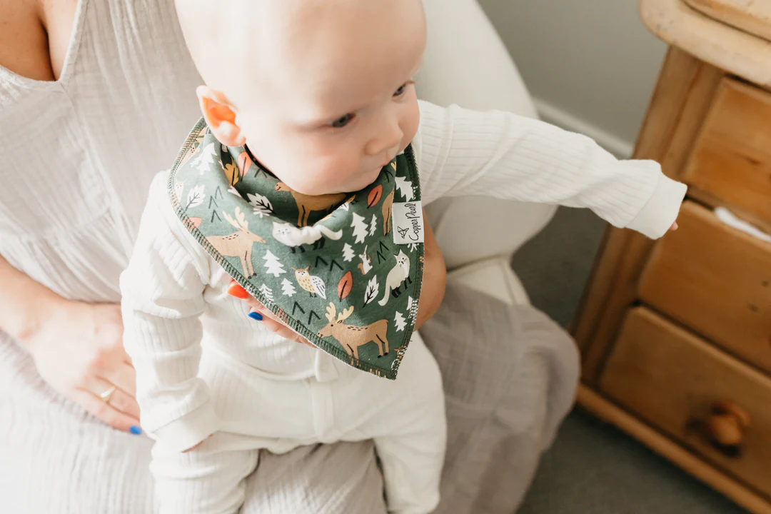 Atwood Baby Bandana Bib Set 4pk