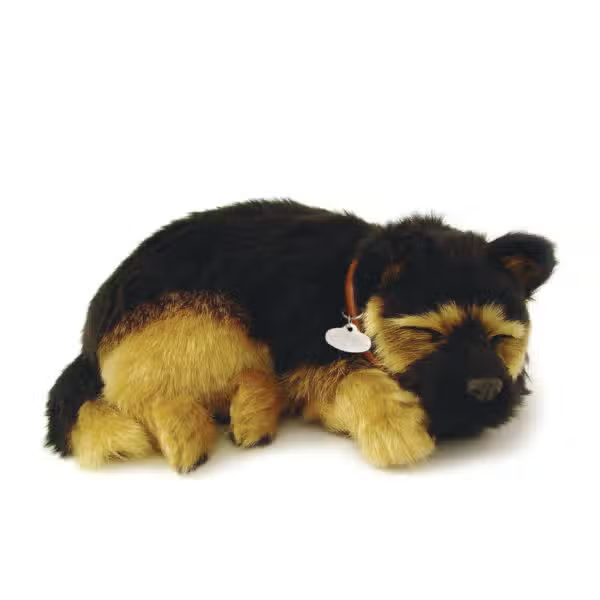 Original Perfect Pet