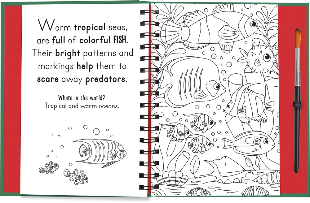 Paint with Water Animals Roars Claws