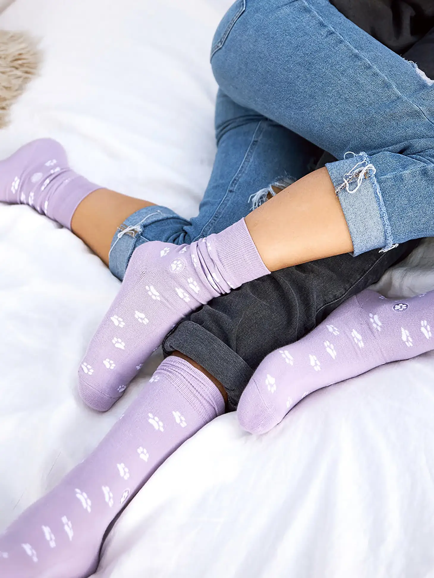 Socks That Save Dogs