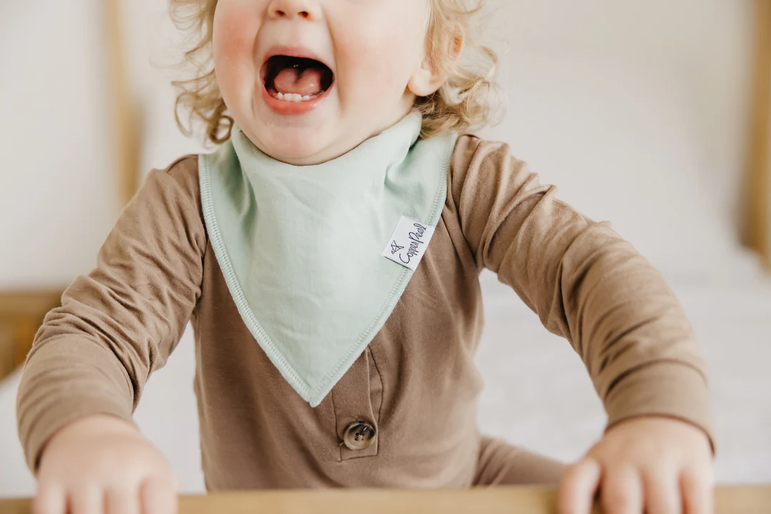 Haven Baby Bandana Bib Set 4pk