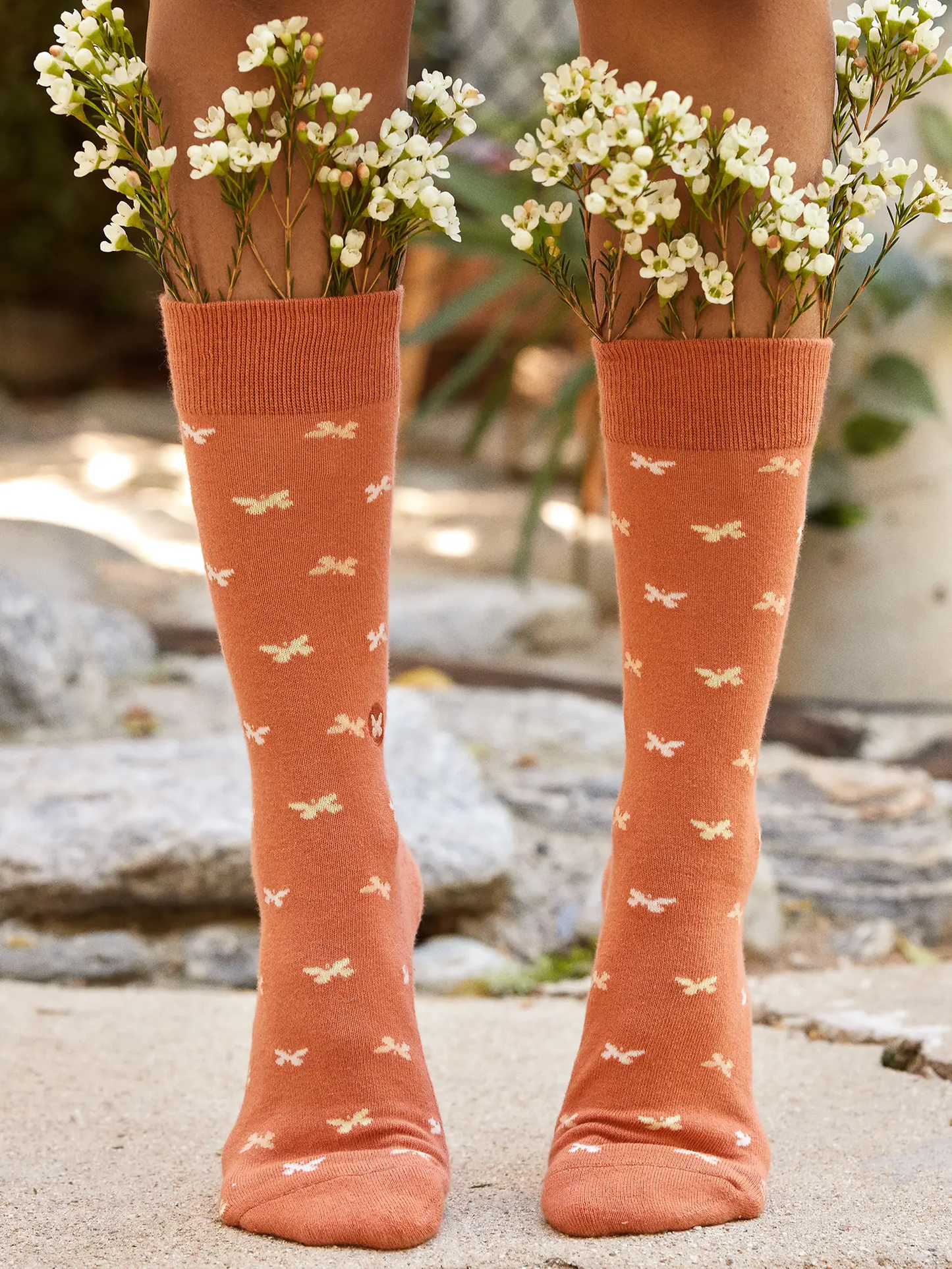 Socks Stop Violence Women