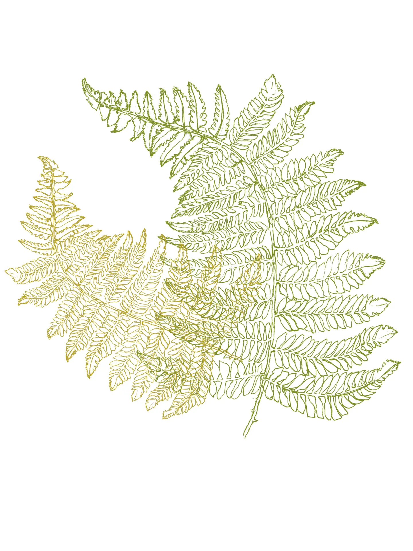 Ferns Pia Pullover