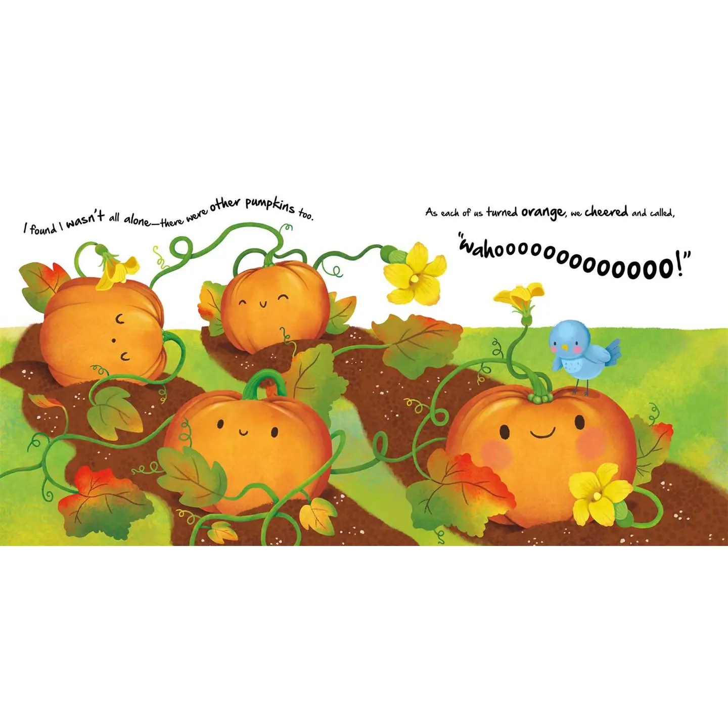Little Pumpkin Board Book