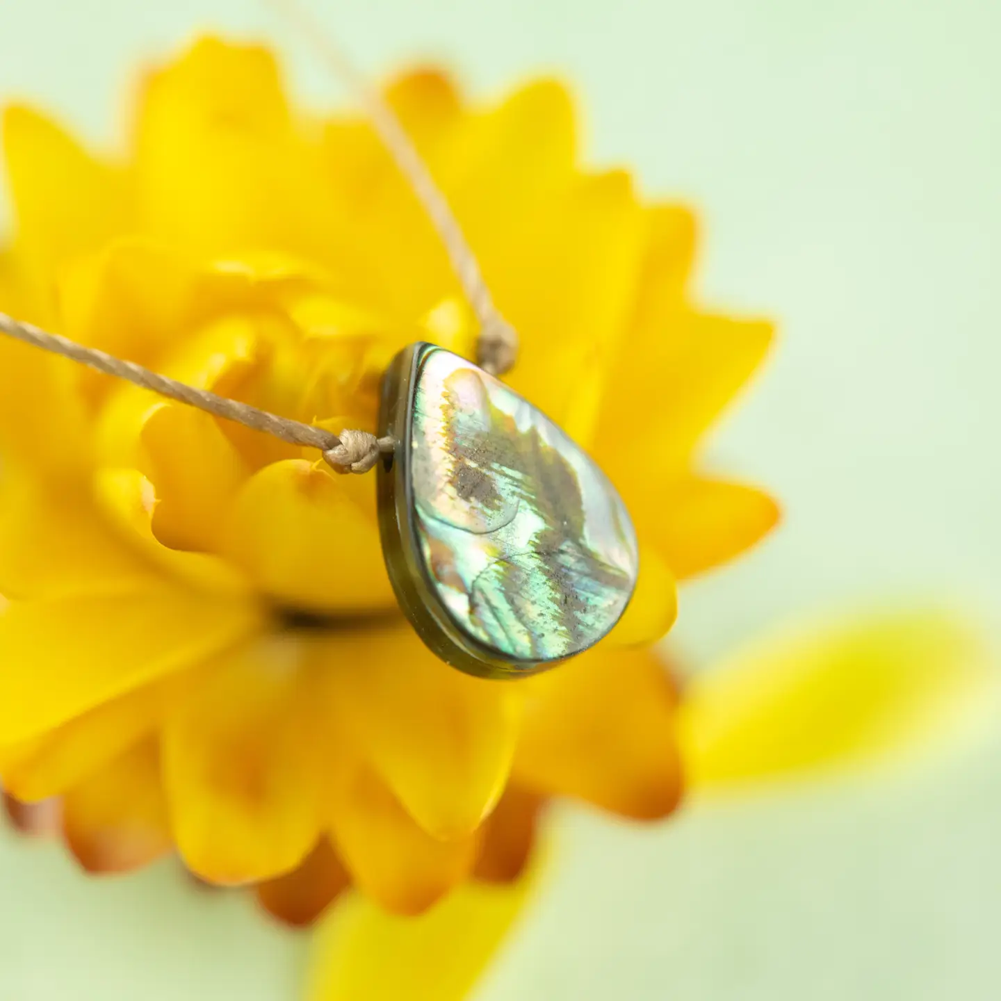Soul Full Necklace - Abalone for Blessings