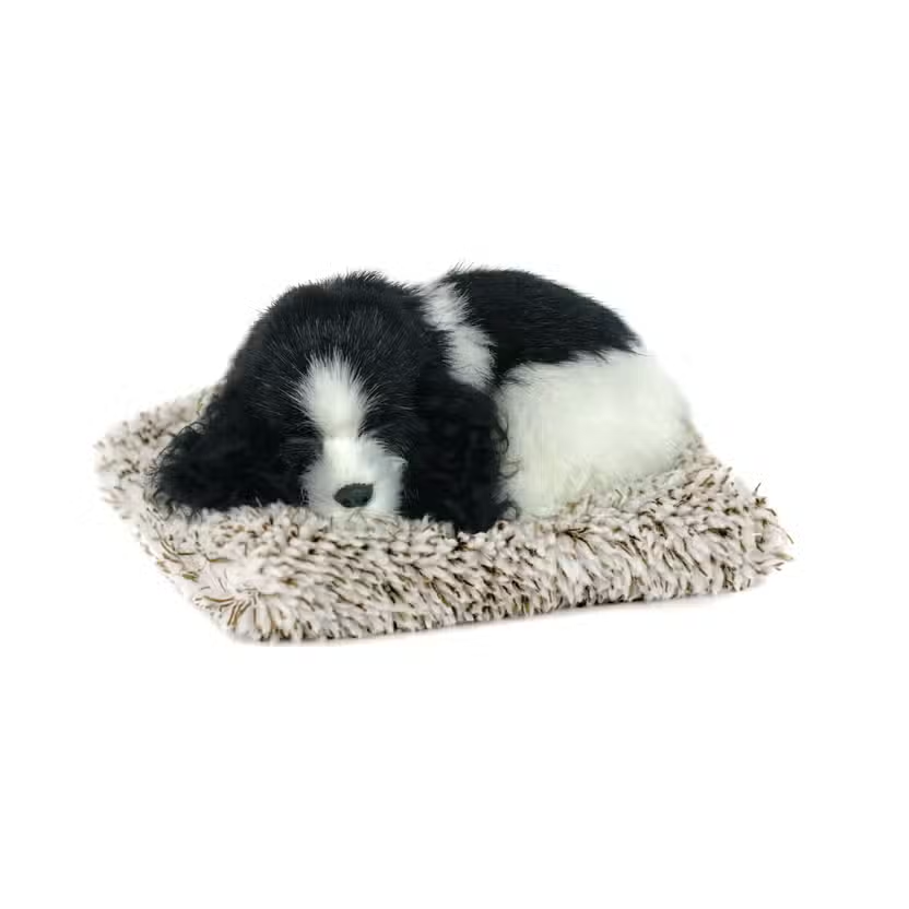 Mini Perfect Pet