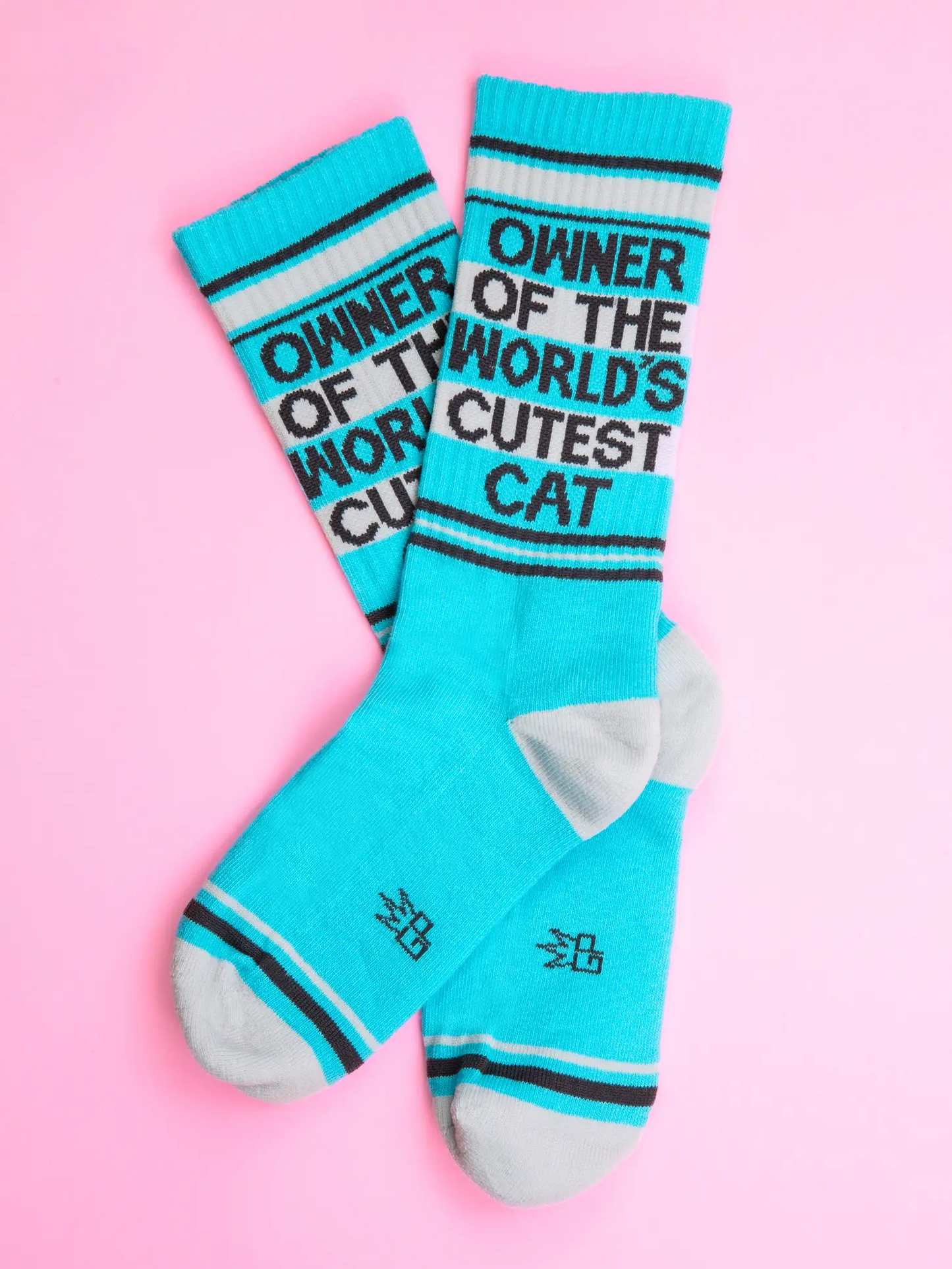 Owner of the Cutest Cat Socks