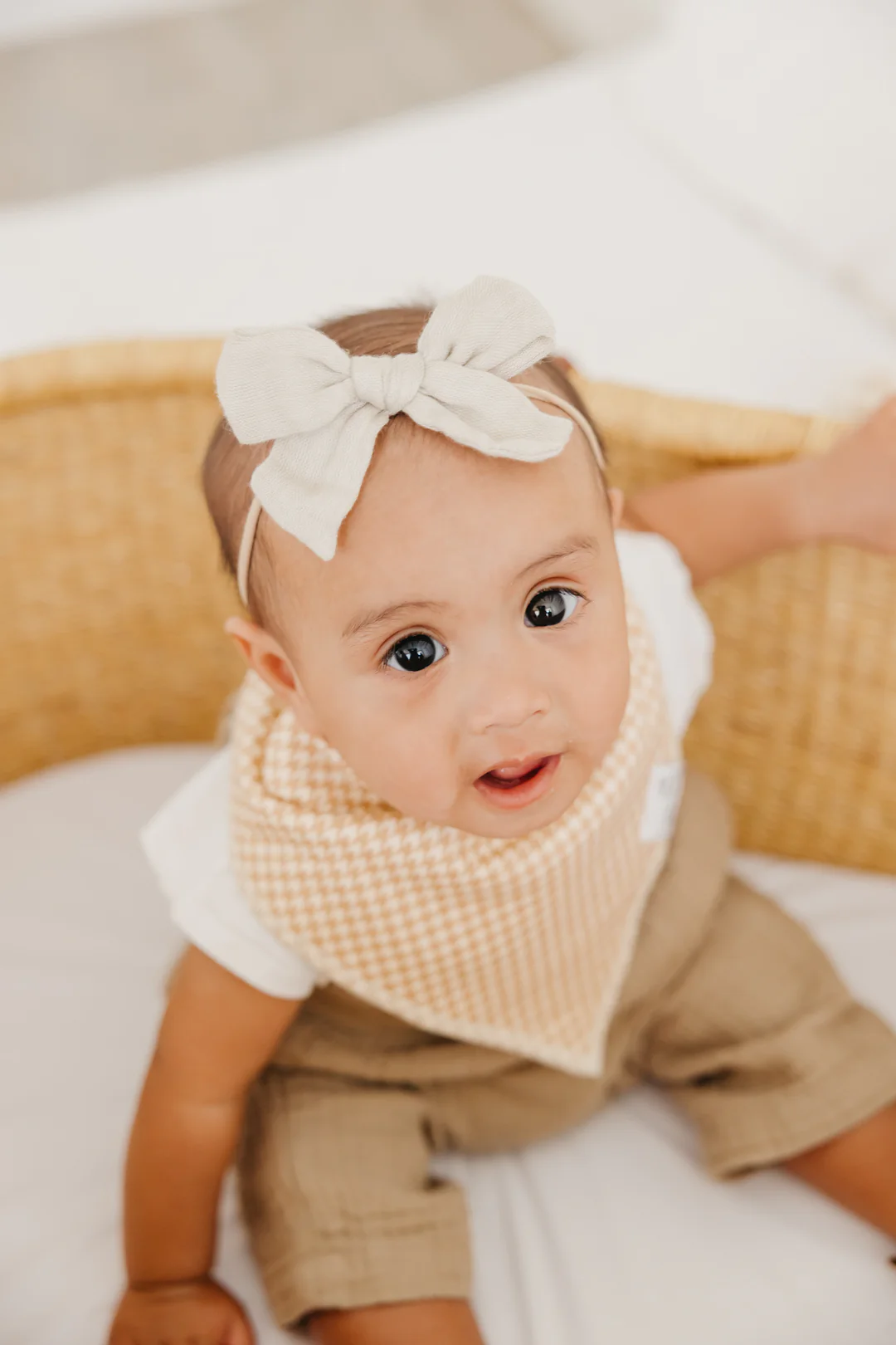 Eden Bandana Bib Set 4pk