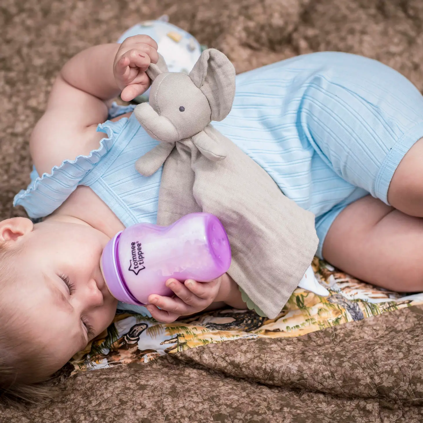 Organic Elephant Comfort Blankie