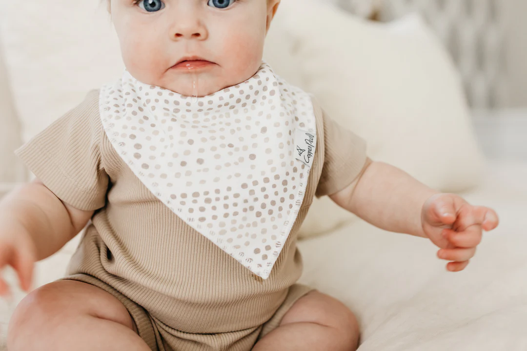 Bliss Baby Bandana Bib Set 4pk