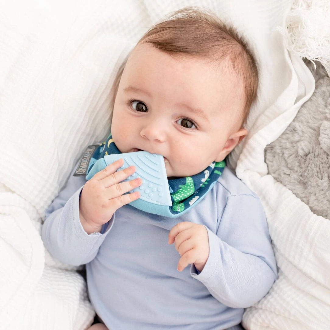 Neckerchew Bib Baby Dino