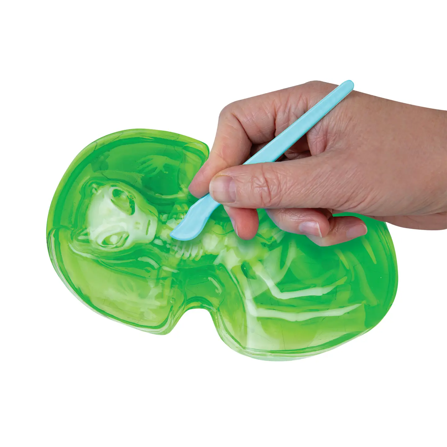 Goo-Natomy Lab: Alien