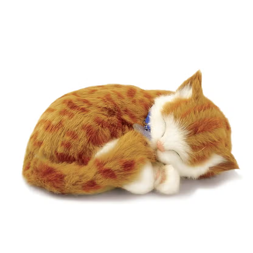 Original Perfect Pet