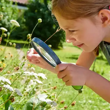 Terra Kids Exploration Magnifyier