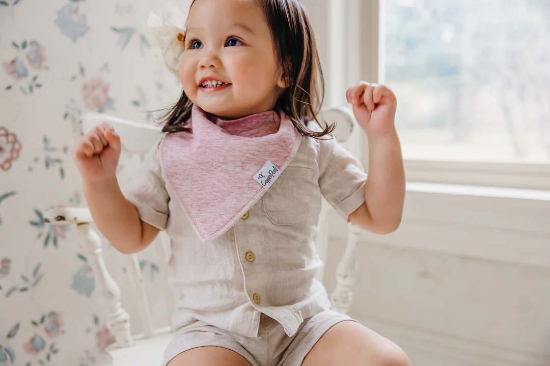 Lacie Baby Bandana Bib Set 4pk