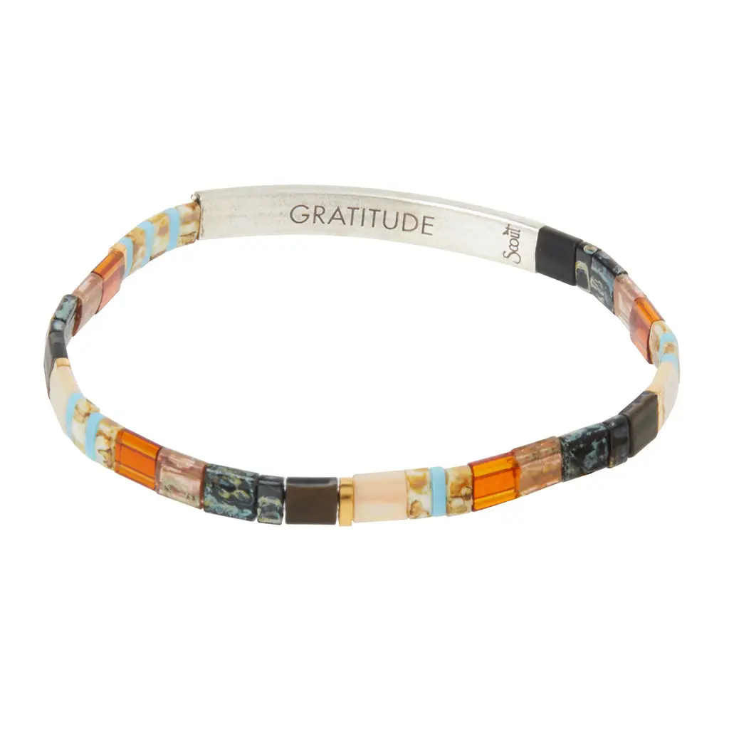 Good Karma Bracelet Gratitude-Earth/Silver