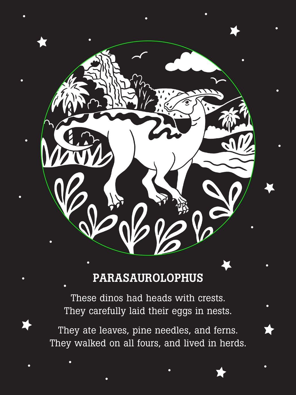 Dinos After Dark Shadow Book
