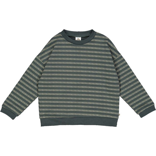 Kids Striped Sweatshirt