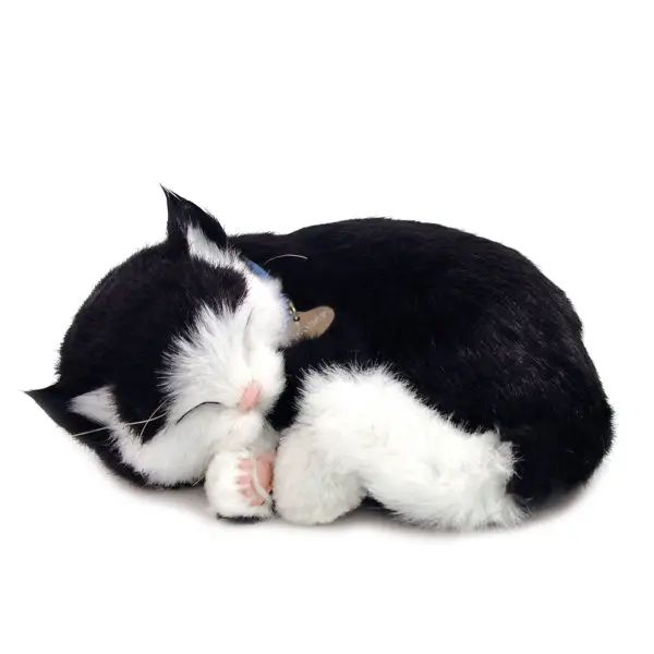 Original Perfect Pet