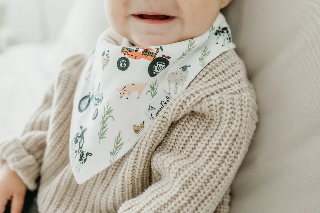 Jo Farm Baby Bandana Bib Set 4pk