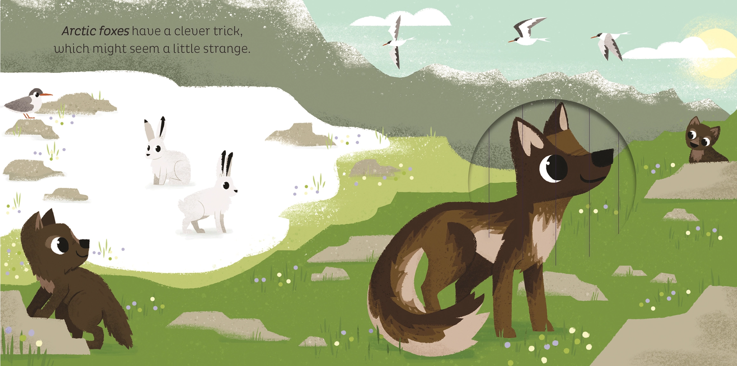 In the Snow Board Book