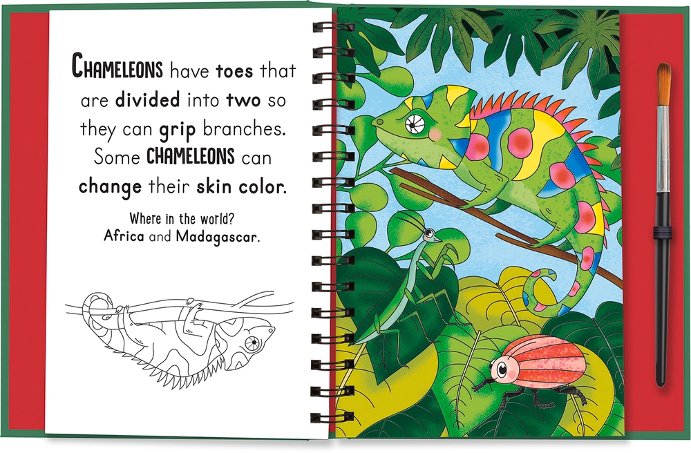 Paint with Water Animals Roars Claws