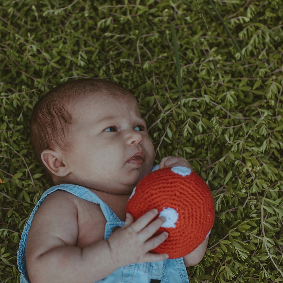 Knit Mushroom Rattle