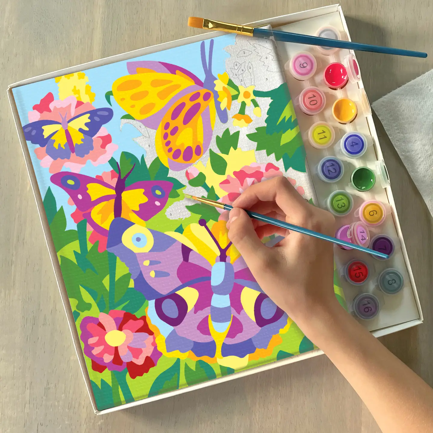Paint By Numbers Butterflies + Blooms