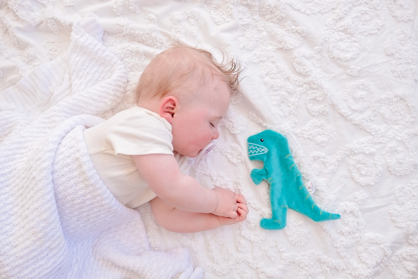 T-Rex Crinkle Toy