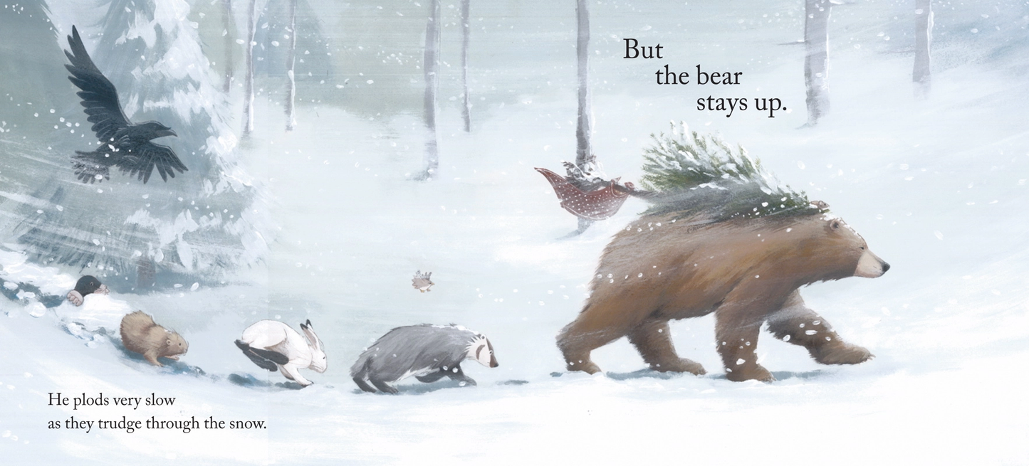 Bear Stays Up for Christmas Book