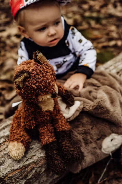 Foxy the Fox Stuffed Animal