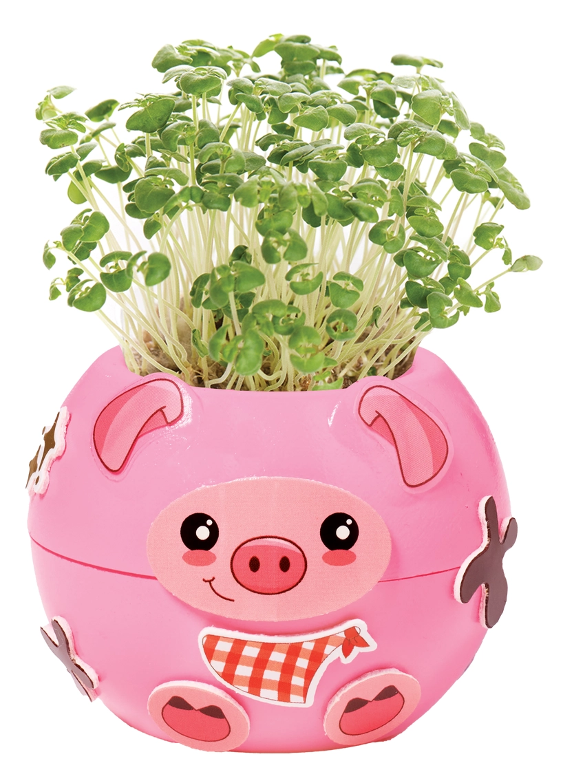 Plant A Pet Pig Mini Grow Craft