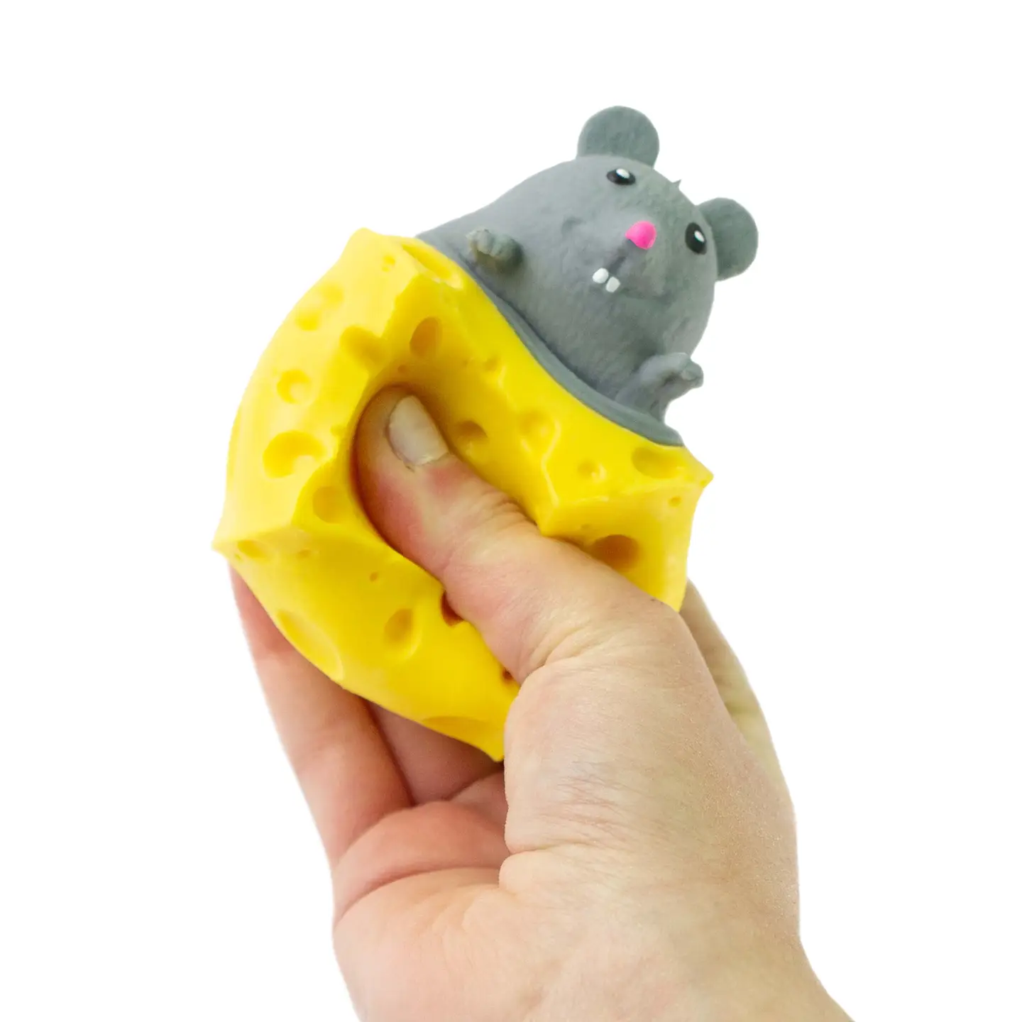 Peek A Boo Mouse in Cheese Sensory Toy