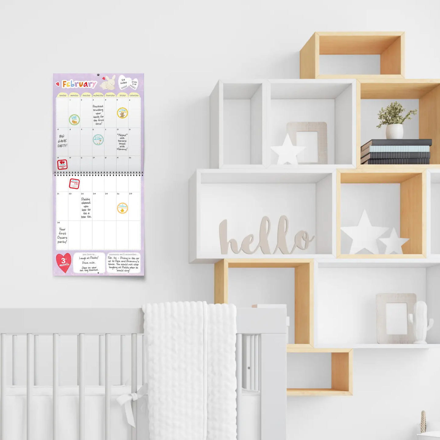 Baby's First Year Memory Book