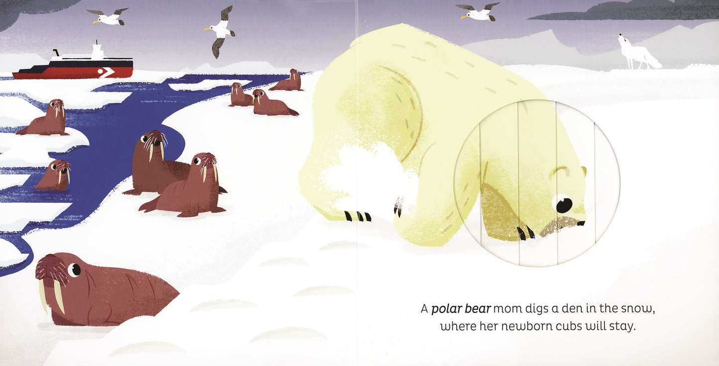 In the Snow Board Book