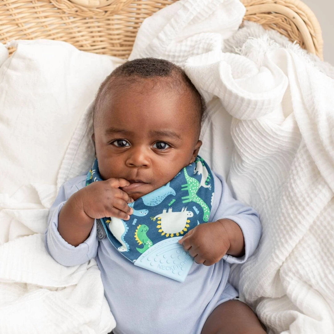 Neckerchew Bib Baby Dino