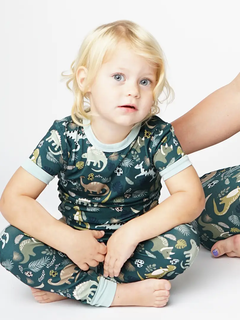 Kids Dinosaur Bamboo Pajamas